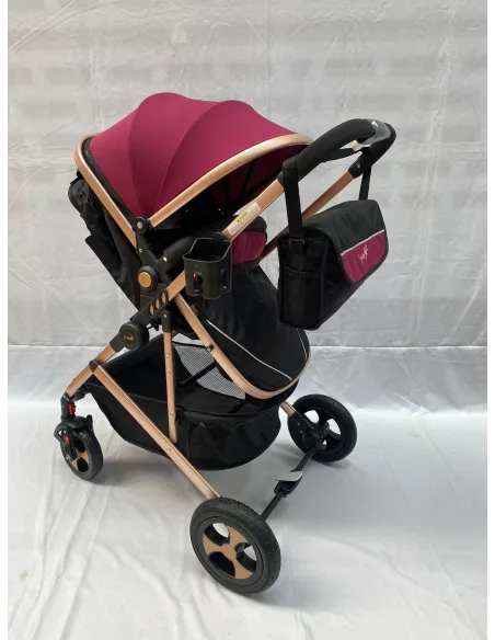 Carucior 2 in 1, 0-36 luni, RED-808, multicolor