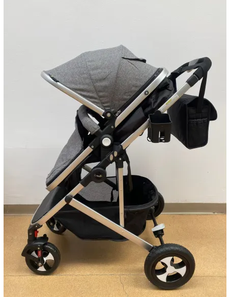 Carucior 2 in 1, 0-36 luni, RED-808, multicolor