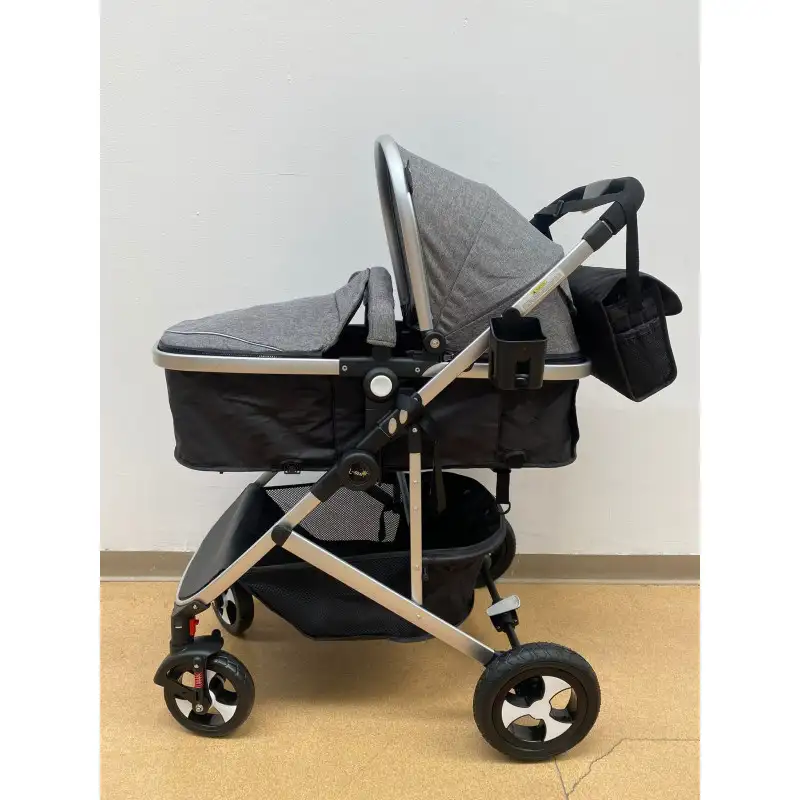 Carucior 2 in 1, 0-36 luni, RED-808, multicolor