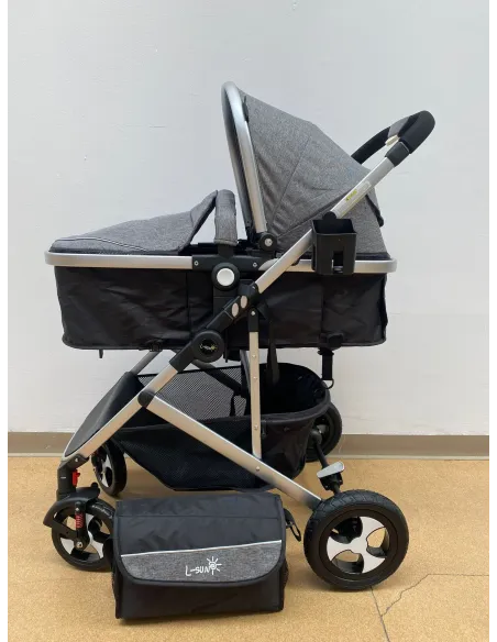 Carucior 2 in 1, 0-36 luni, RED-808, multicolor