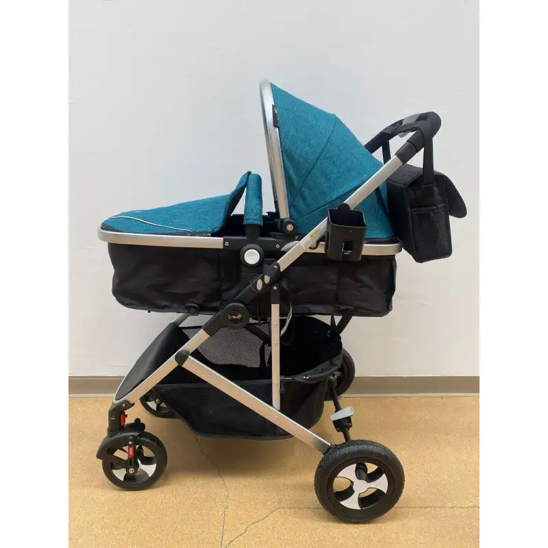 Carucior 2 in 1, 0-36 luni, RED-808, multicolor