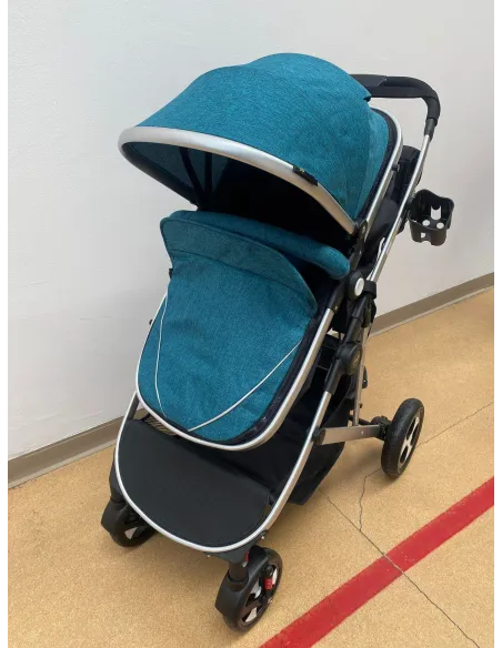 Carucior 2 in 1, 0-36 luni, RED-808, multicolor