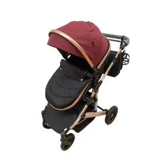 Carucior 2 in 1, 0-36 luni, RED-T7 2