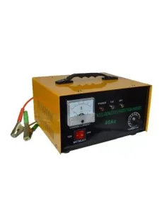 Redresor auto 12-24V 40A