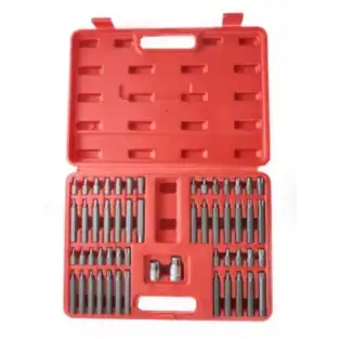 Trusa 54 BITI H10 si Torx