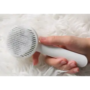 Perie, piepten, ingrijire caini si pisici cu autocuratare