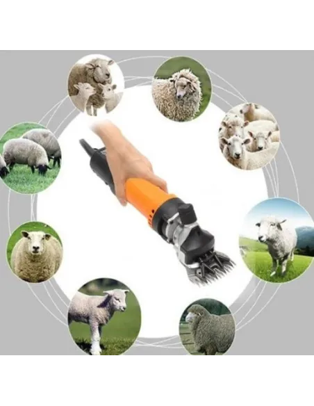 Mașină de Tuns Oi Profesională 850W, 6 Trepte + Set Cuțite Extra și Cutie Transport