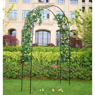 Arcada metalica de gradina pentru flori cataratoare 2