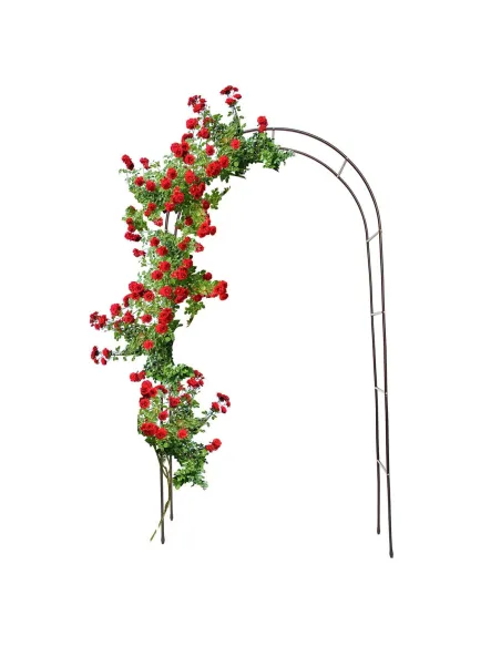 Arcada metalica de gradina pentru flori cataratoare