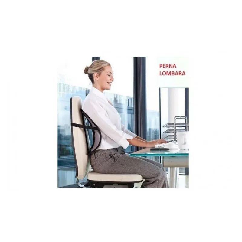 Perna suport lombar pentru scaun red-mag.ro