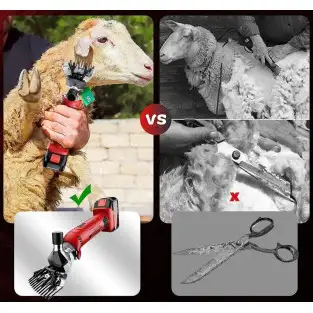 Masina de tuns oi, 2 acumulatori, 4000mAh 2