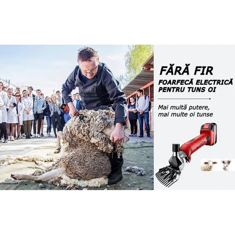 Masina de tuns oi, 2 acumulatori, 4000mAh