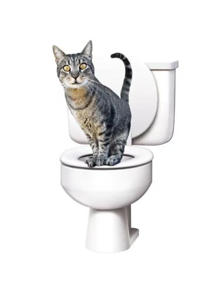 Kit pentru educarea pisicilor la toaleta