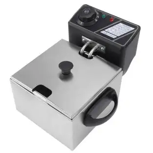 Friteuza electrica de 2.5 L 2