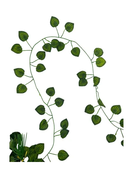 Set 12 ghirlande cu frunze de iedera, lungime 2M