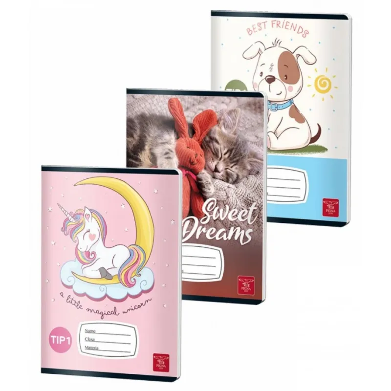 Caiet Tip 1 Color Pigna 24 file