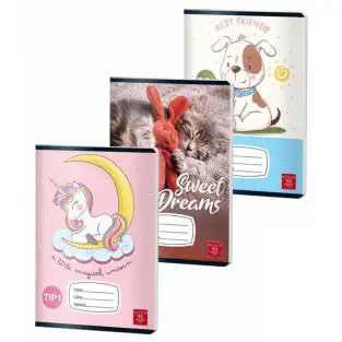 Caiet Tip 2 Color Pigna 24 file