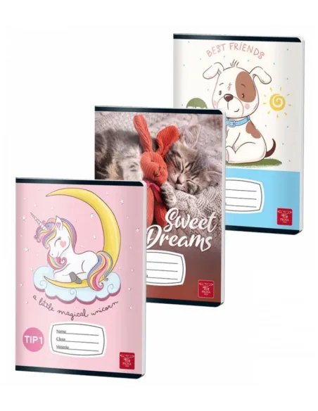 Caiet Tip 2 Color Pigna 24 file