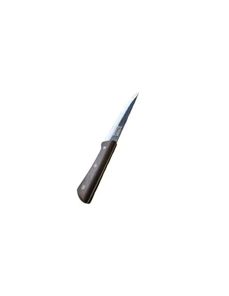 Set 3 cutite cu maner de lemn si satar otel, J2