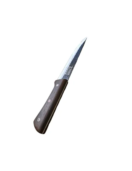Set 3 cutite cu maner de lemn si satar otel, J2