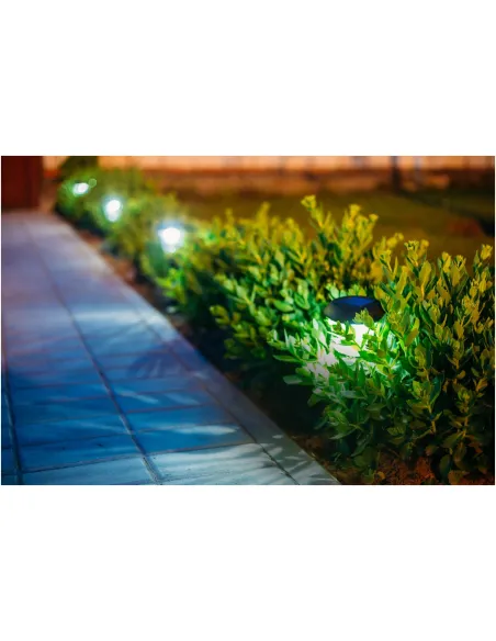 Set 4 Lampi solare de exterior pentru gradina, LED, cu 2 moduri de iluminare Alb cald sau RGB