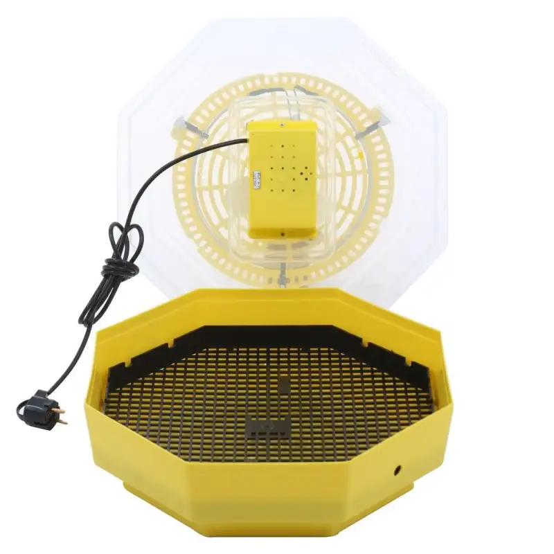 Incubator Cleo5 electric pentru oua incalzire