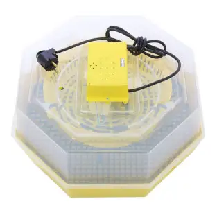 Incubator Cleo5 electric pentru oua incalzire