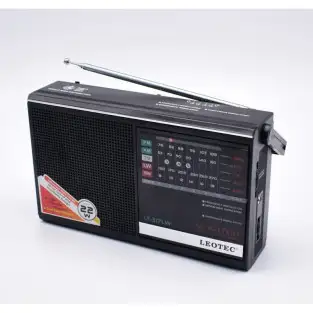 Radio portabil cu difuzor incorporat LT-317LW 2