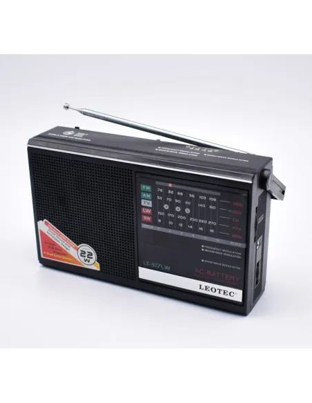 Radio portabil cu difuzor incorporat LT-317LW
