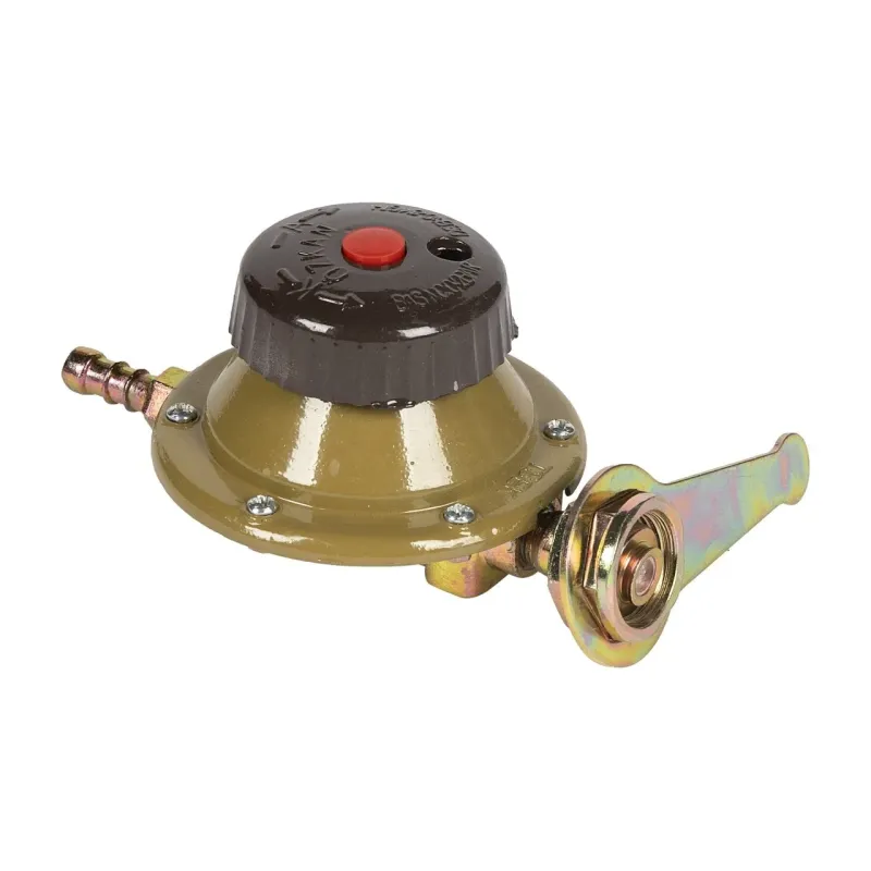 Ceas butelie reglabil pentru gaz cu regulator de