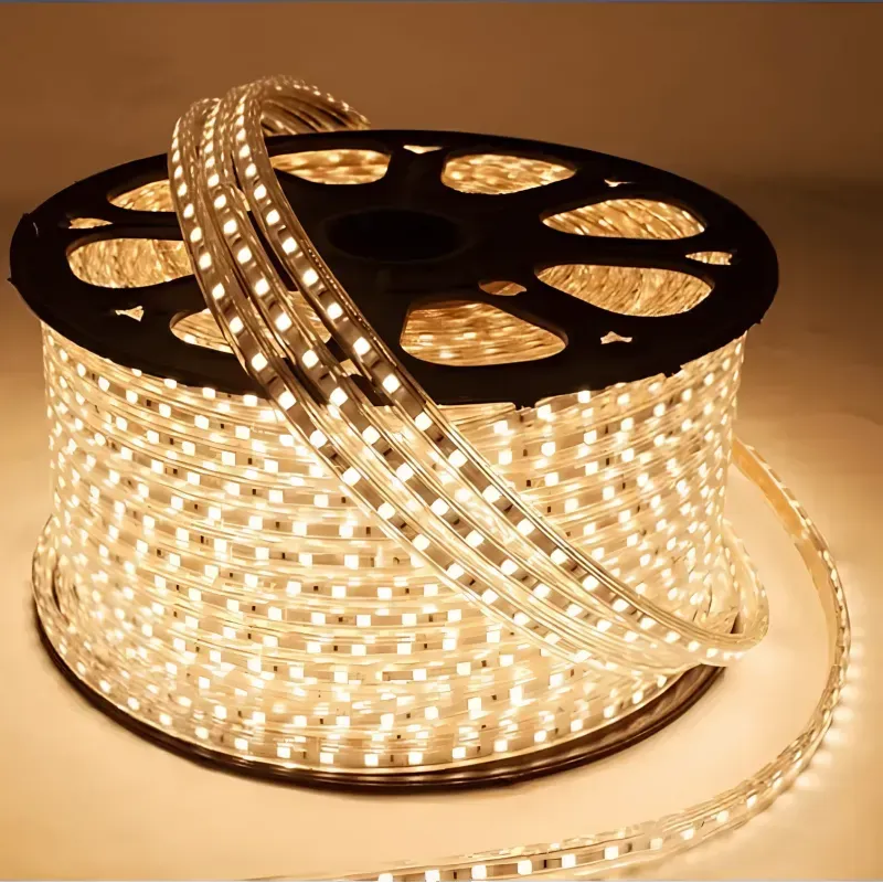 Banda led tip furtun SMD, 50m, 220V, interior/exterior, 2835