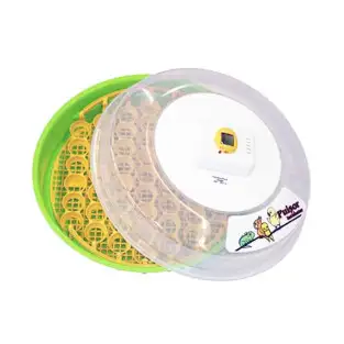 Incubator puisor pentru reptile si pasari exotice