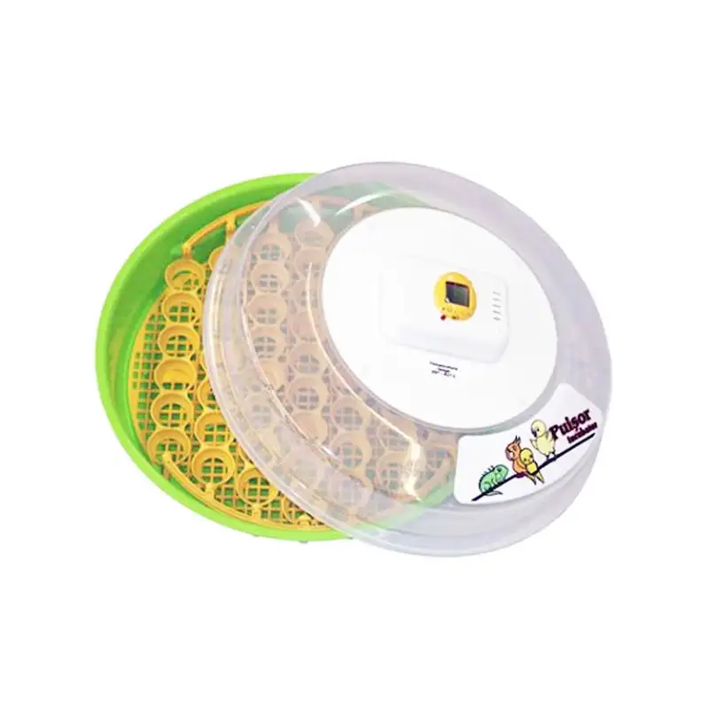 Incubator puisor pentru reptile si pasari exotice