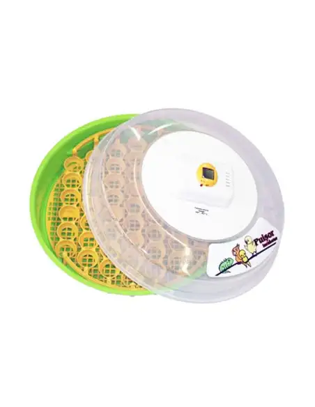 Incubator puisor pentru reptile si pasari exotice