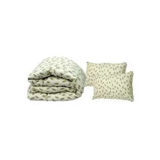 Set din puf de gasca: Pilota 200 x 230 cm + 2