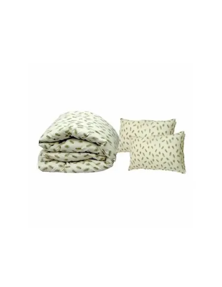 Set din puf de gasca: Pilota 200 x 230 cm + 2