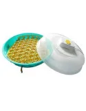 Incubator IO103 pentru oua termostat