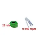 20 de role + 10,000 capse