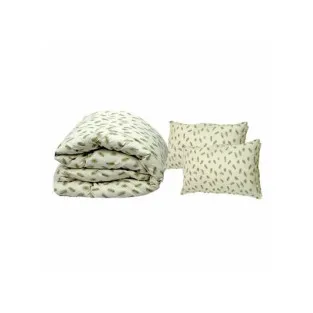 Set din puf de gasca: Pilota 200 x 230 cm + 2