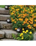 Set 2 Lămpi Solare Piatră Decorative, LED, Senzor Lumină