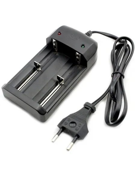 Incarcator dublu universal li-ion LPC-C01
