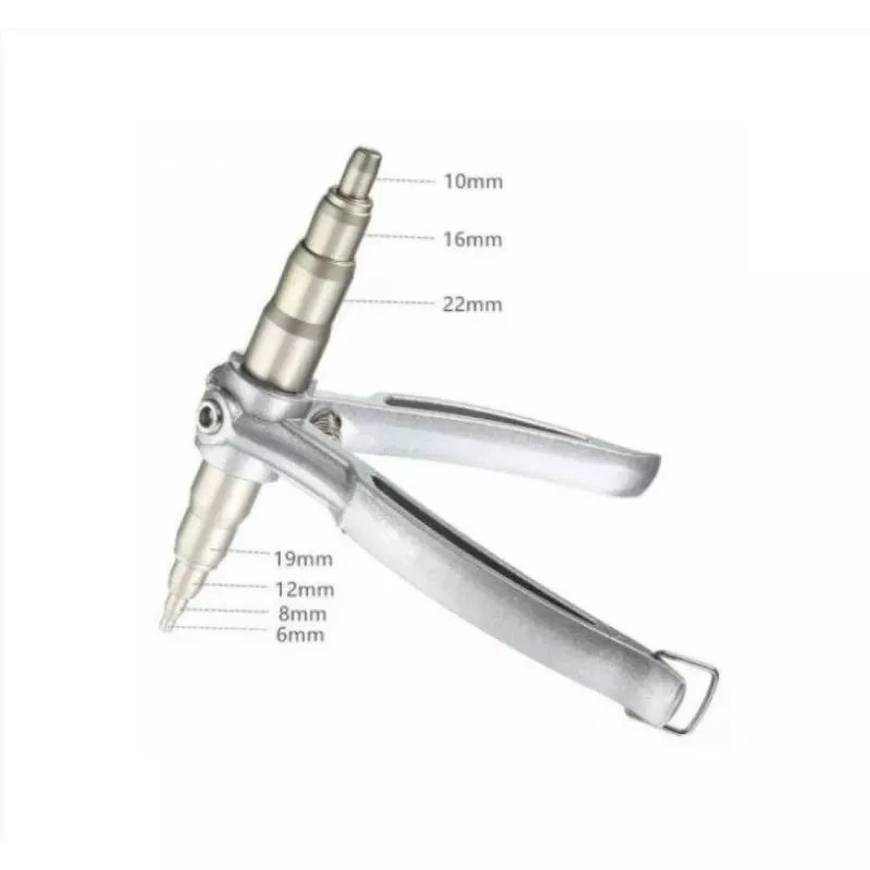 Patent expandat tevi ,cleste bercuit
