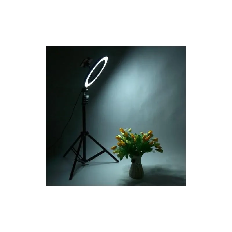 Lampa circulara cu suport selfie, 60W