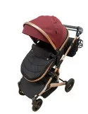 Carucior 2 in 1, 0-36 luni, RED-T7