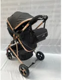 Carucior 2 in 1, 0-36 luni, RED-808, multicolor