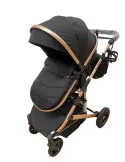 Carucior 2 in 1, 0-36 luni, RED-T7