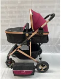 Carucior 2 in 1, 0-36 luni, RED-808, multicolor