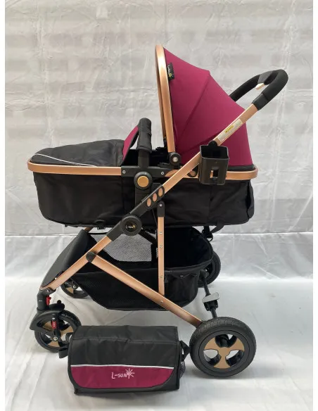 Carucior 2 in 1, 0-36 luni, RED-808, multicolor