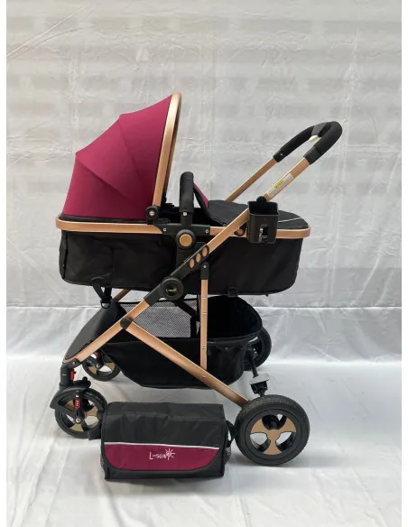 Carucior 2 in 1, 0-36 luni, RED-808, multicolor