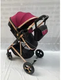 Carucior 2 in 1, 0-36 luni, RED-808, multicolor